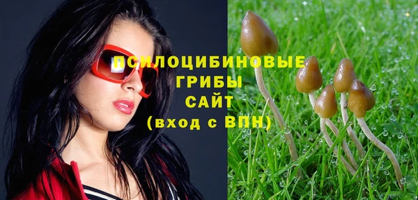 первитин Дмитриев
