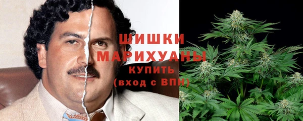 дмт Елабуга