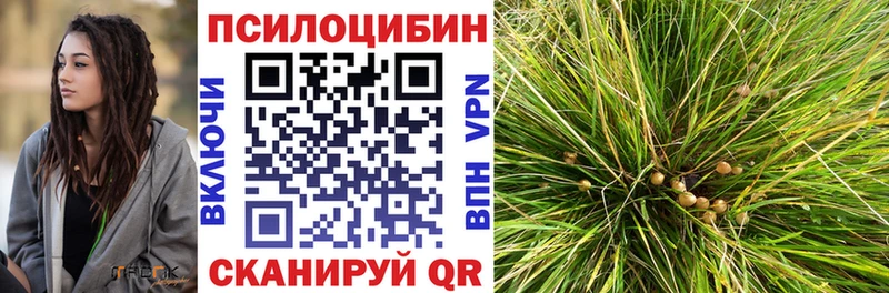 Купить где  Таштагол  Псилоцибиновые грибы ЛСД 